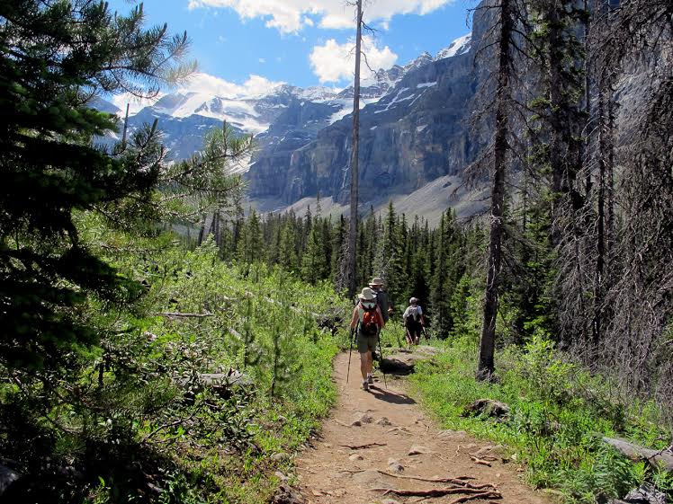 Stanley Glacier - VP